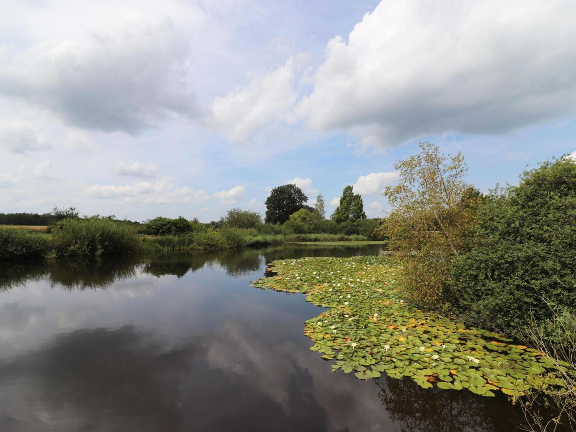 Villa On An Estate In Rheezerveen With Garden エクステリア 写真