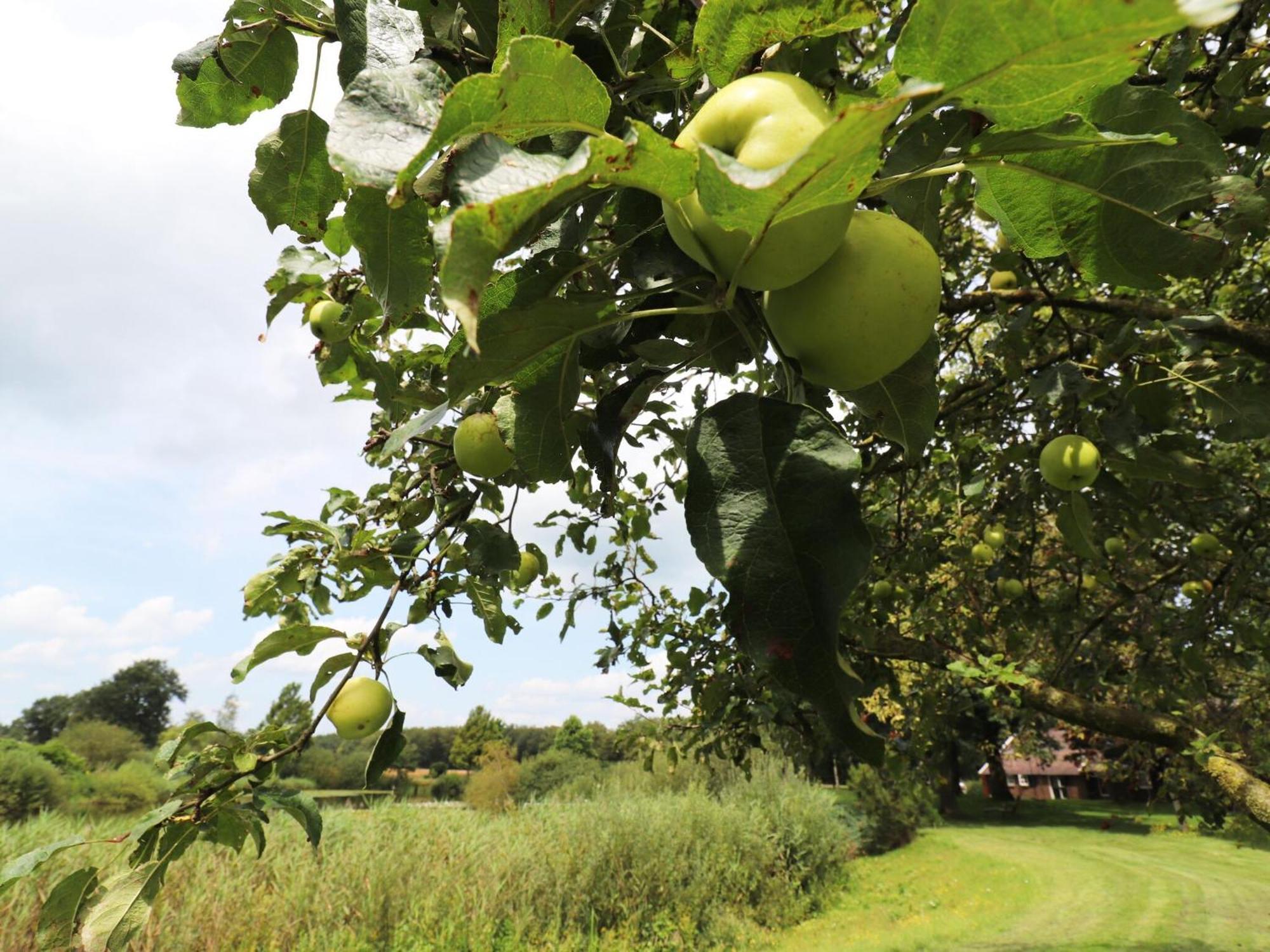 Villa On An Estate In Rheezerveen With Garden エクステリア 写真