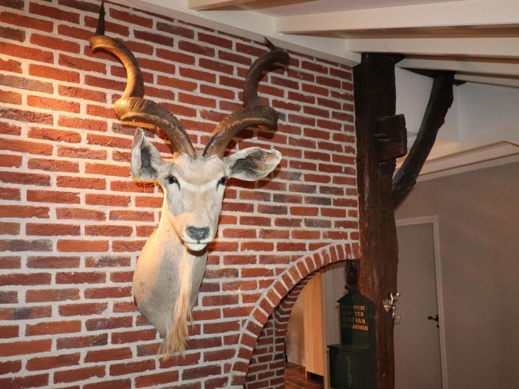 Villa On An Estate In Rheezerveen With Garden エクステリア 写真